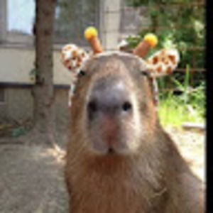 Meet your Posher, Ruby